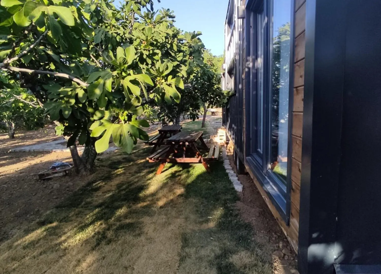 Dikili Zeytiny House Hotel