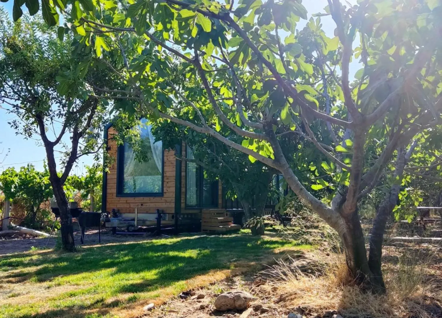 Dikili Zeytiny House Hotel Campsite